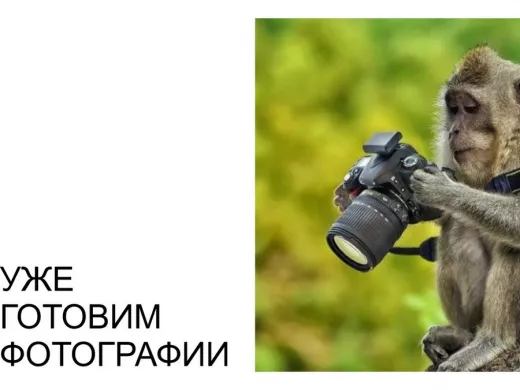 Винт оцинк. с полукруглой головой 6х 16 DIN 7985   250шт "ABI-KREP 44831" 1,572кг крест.PH3 6,29г