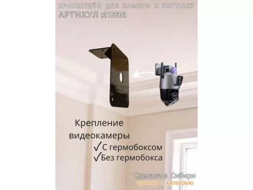 Кронштейн для поворотной камеры к потолку усиленный 